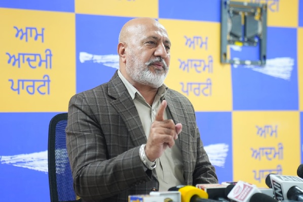 Baltej pannu