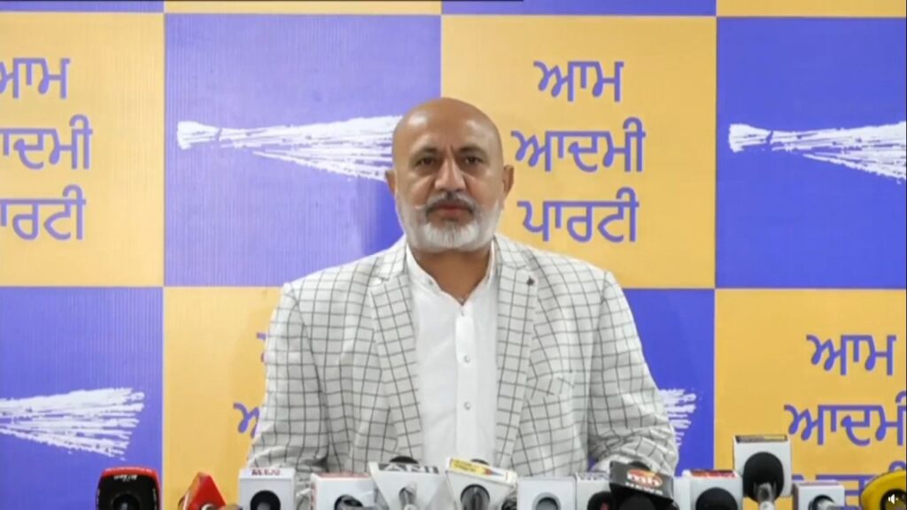 Baltej pannu