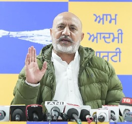 Baltej pannu
