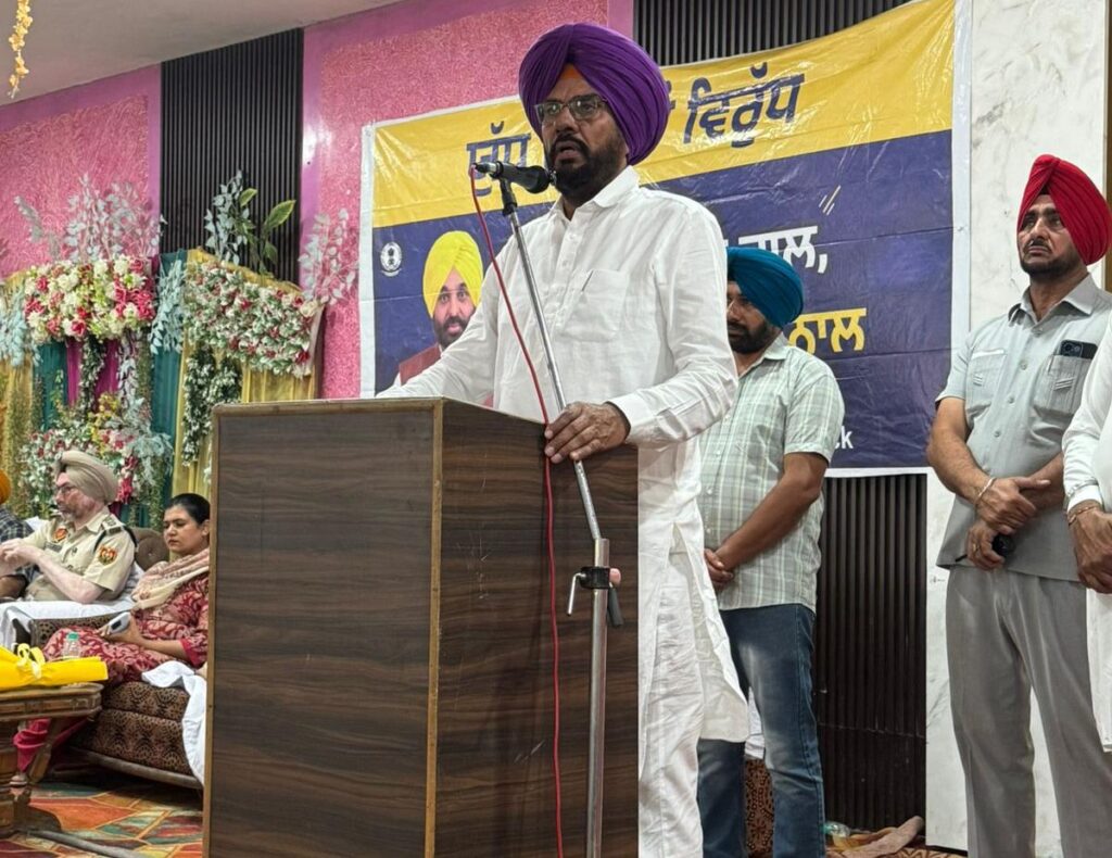 7 June PN 2 dhaliwal rangla punjab (1)