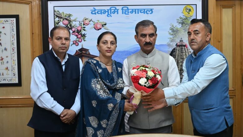 चौपाल क्षेत्र के प्रतिनिधिमंडल ने मुख्यमंत्री से भेंट की