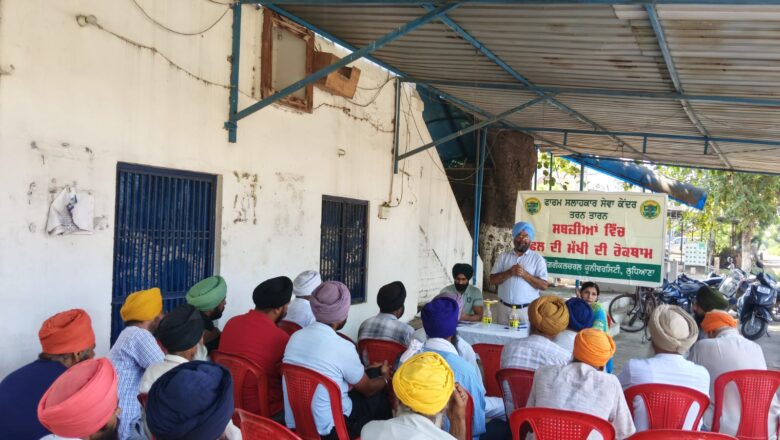 ਸਬਜ਼ੀਆਂ ‘ਚ ਫ਼ਲ਼ ਦੀ ਮੱਖੀ ਦੀ ਰੋਕਥਾਮ ਸਬੰਧੀ ਕਰਵਾਇਆ ਜਾਗਰੂਕਤਾ ਪ੍ਰੋਗਰਾਮ