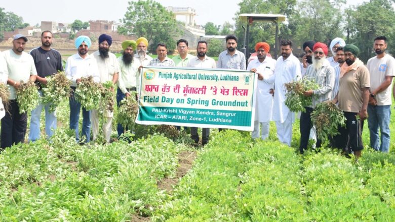 ਪੀਏਯੂ-ਕੇਵੀਕੇ, ਸੰਗਰੂਰ ਵੱਲੋਂ ਪਿੰਡ ਮਹਿਲਾਂ ਵਿਖੇ ਪਾਣੀ-ਬੱਚਤ ਕਰਨ ਵਾਲੀ ਮੂੰਗਫਲੀ ਦਾ ਪ੍ਰਦਰਸ਼ਨ