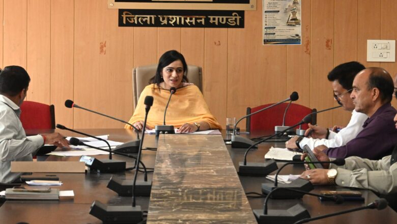 पराशर का तीन दिवसीय सरनाहुली मेला 14 जून से होगा शुरू