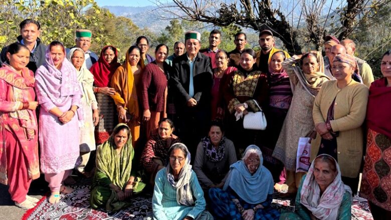 तमरोह क्लस्टर में जापानी फल की दस्तकः एचपी शिवा परियोजना बनी सहारा