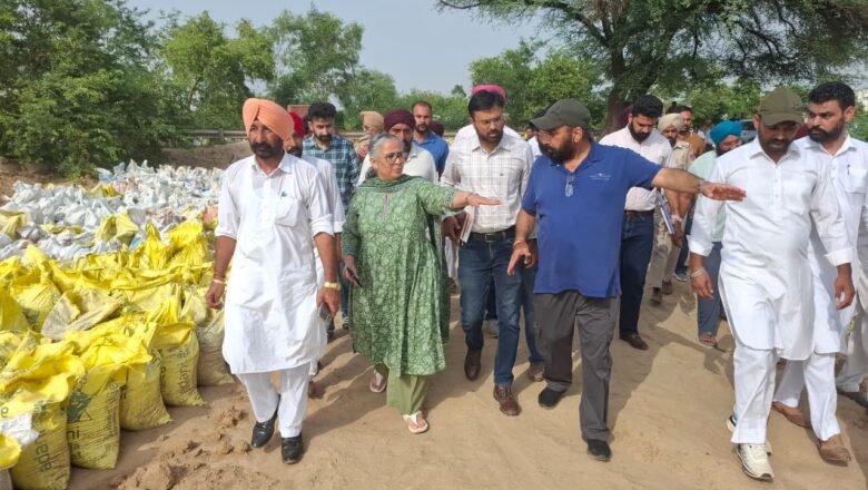 ਹੜ੍ਹਾਂ ਦੀ ਰੋਕਥਾਮ ਲਈ ਪ੍ਰਸ਼ਾਸਨ ਮੁਸਤੈਦ; ਡਿਪਟੀ ਕਮਿਸ਼ਨਰ ਪੂਨਮਦੀਪ ਕੌਰ ਨੇ ਘੱਗਰ ਦੇ ਬੰਨ੍ਹਾਂ ਦਾ ਲਿਆ ਜਾਇਜ਼ਾ