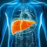 Signs of Liver Damage: ਸੱਜੇ ਮੋਢੇ ਦੇ ਦਰਦ ਤੋਂ ਲੈ ਕੇ ਲਗਾਤਾਰ ਥਕਾਵਟ ਤੱਕ, ਇਹ ਲੱਛਣ ਨਾ ਕਰੋ ਨਜ਼ਰਅੰਦਾਜ਼