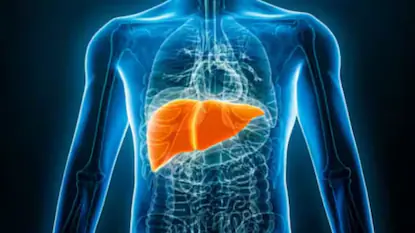 FATTY LIVER 2026 04 3099cdf66da41fe37edc514879353e30 1200x675